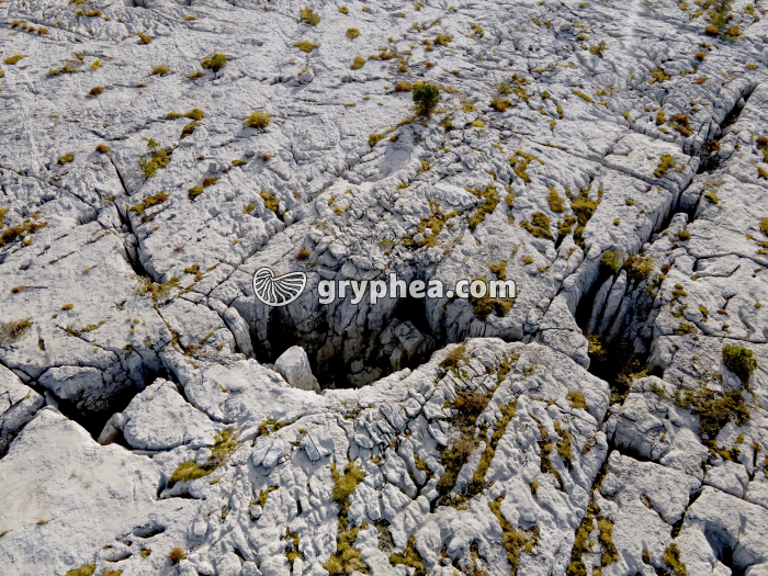 Lapiaz - Parmelan (vue aérienne) - gryphea.org
